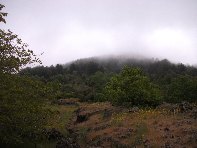 otta Intraleo-20100515 053